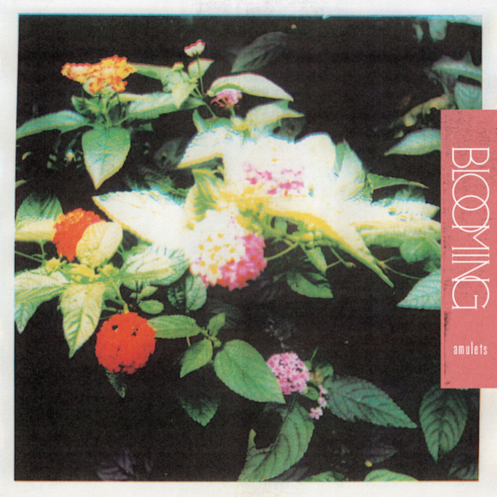 Amulets - Blooming [LP] Vinyl Record