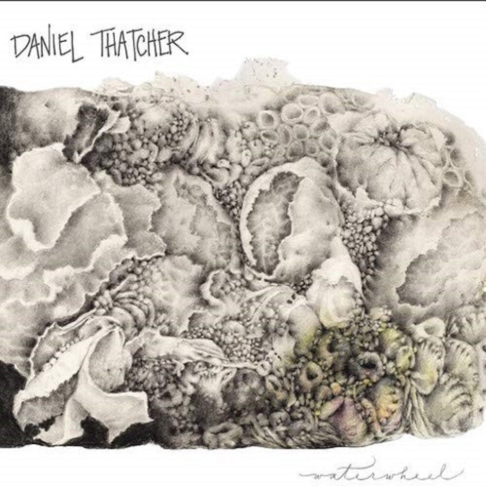 Daniel Thatcher - Waterwheel [CD]