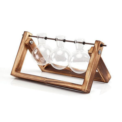 Desktop Vintage Plant Terrarium & Propagation Station
