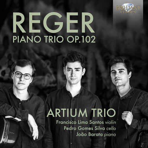 Reger / Artium Trio - Piano Trio 102 - Music CD