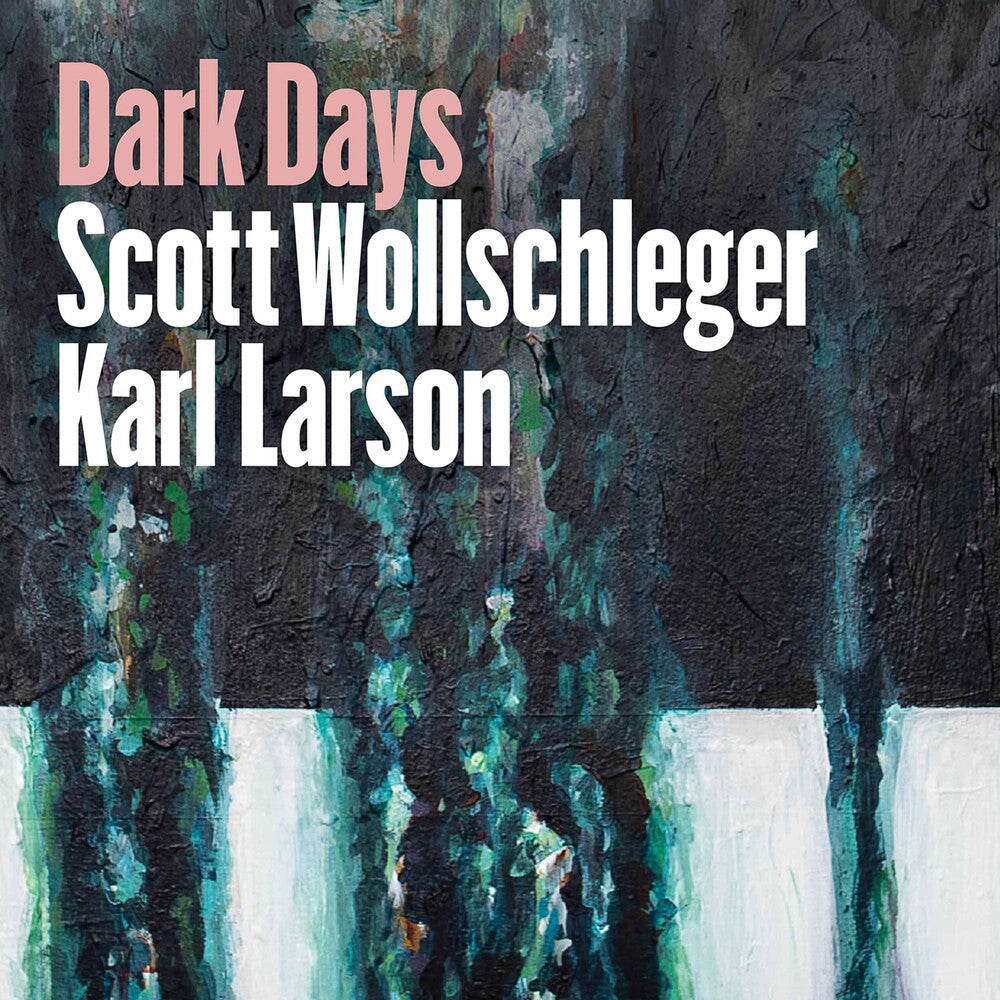 Wollschleger / Larson - Dark Days [CD]