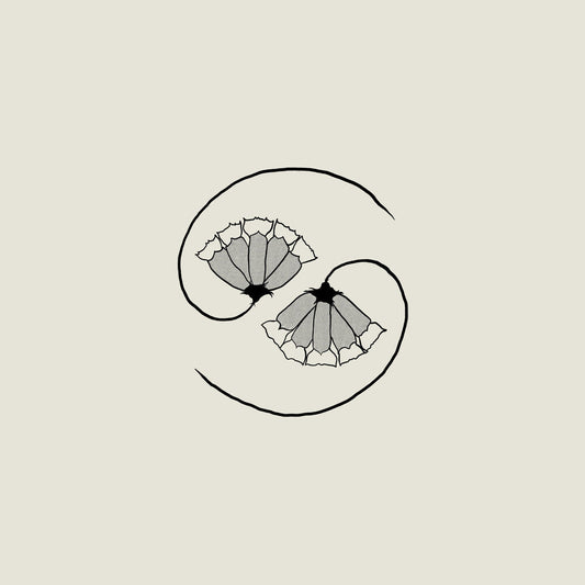 Godspeed You! Black Emperor - G_D's Pee At State's End! [CD]