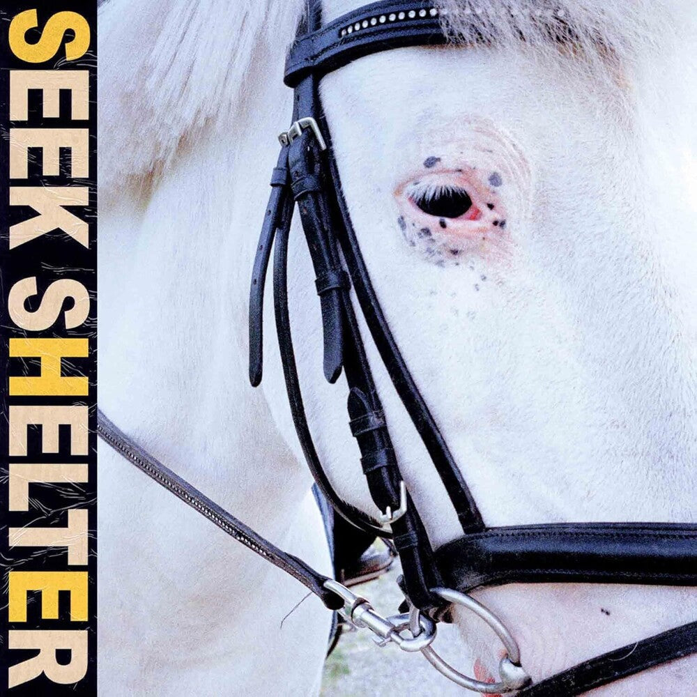 Iceage - Seek Shelter [CD]