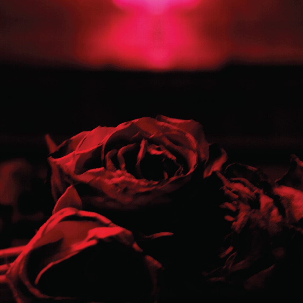 Paper Kites - Roses (Mod) [CD]