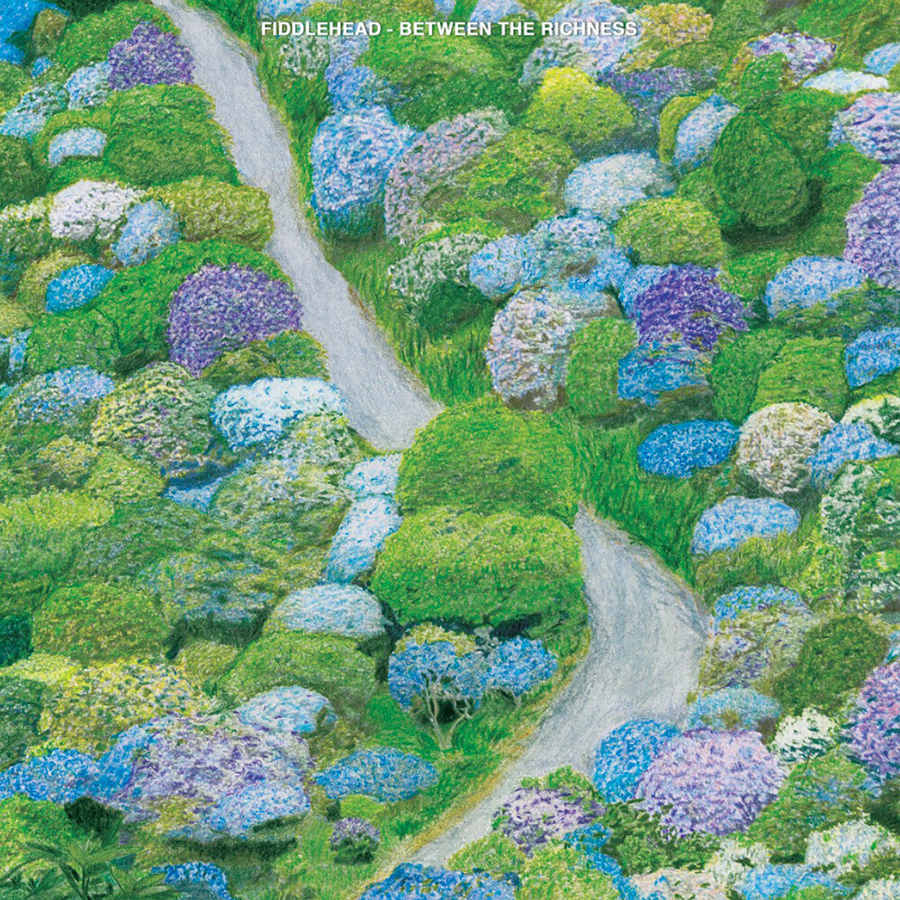 Fiddlehead - Between The Richness [CD]