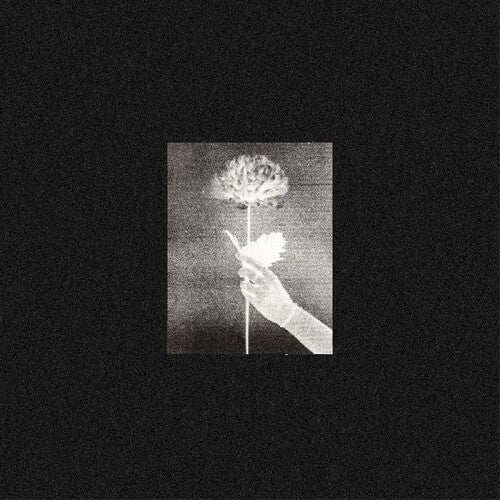 White Flowers - Day By Day - Vinyl Record