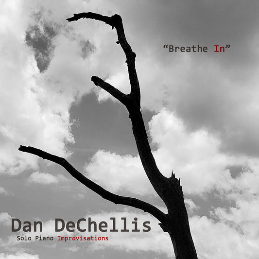 Dan Dechellis - Breathe In [CD]