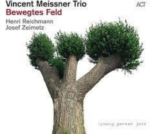Meissner,vincent Trio - Bewegtes Feld - Music CD