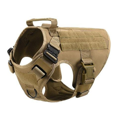 Military Tactical Dog