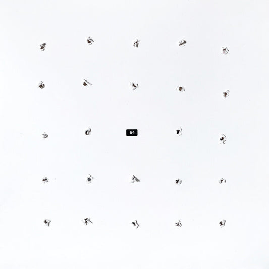 Ian Craig  William / Kago - Split Series 24 [LP] Vinyl Record