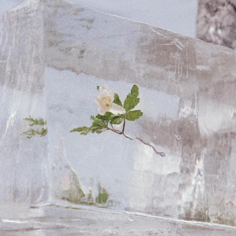 Efterklang - Windflowers [LP] Vinyl Record