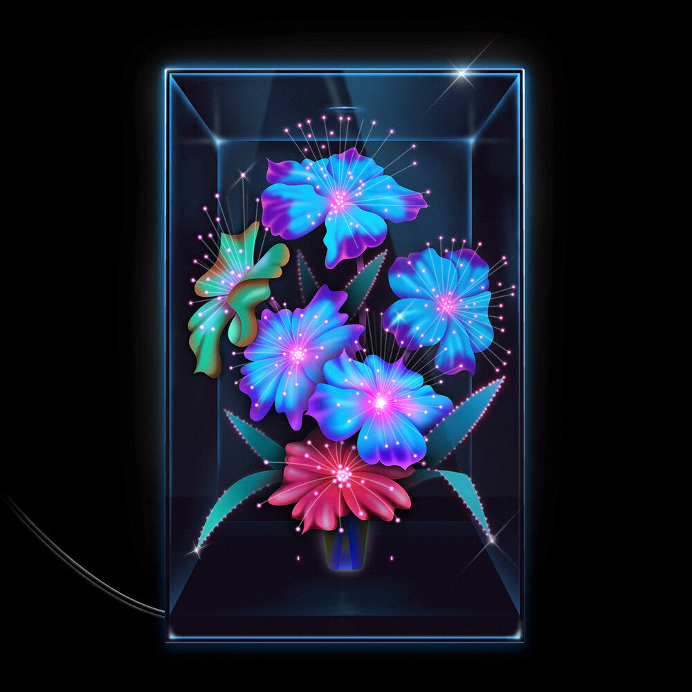 Xenia Rubinos - Una Rosa [CD]