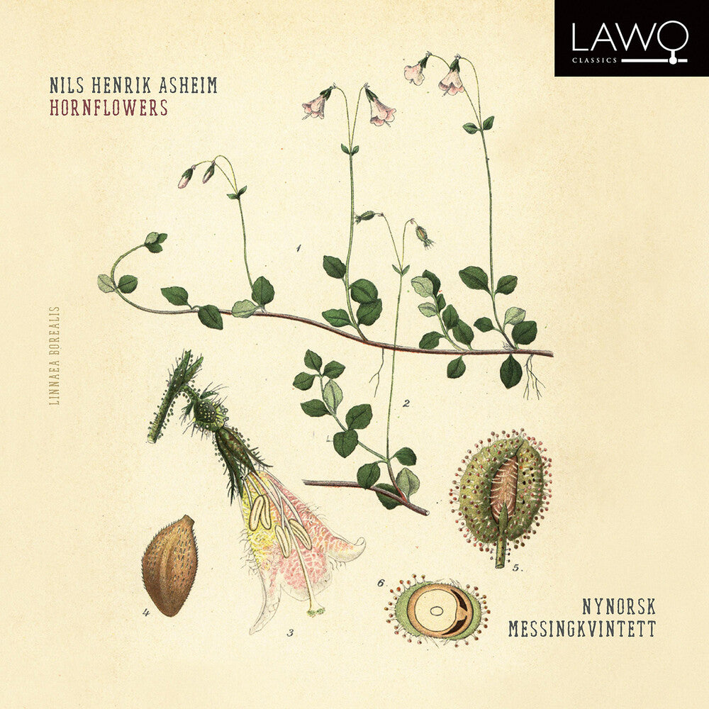Asheim / Messingkvintett - Hornflowers [CD]