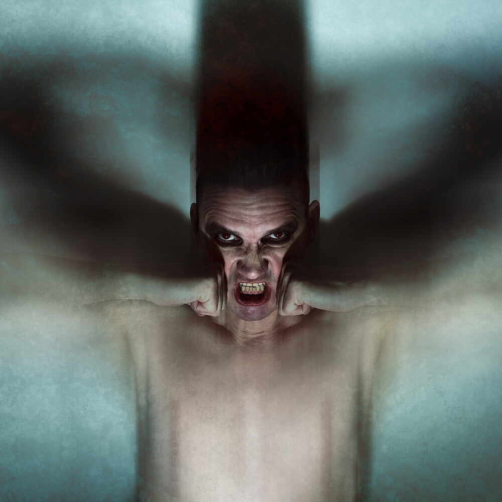 Pig - Pain Killer [CD]