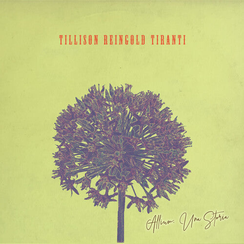 Tillison Reingold Tiranti - Allium Una Storia - Music CD