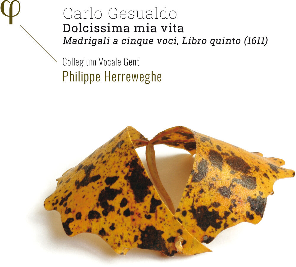 Gesualdo / Collegium Vocale Gent / Herreweghe - Dolcissima Mia Vita Music CD