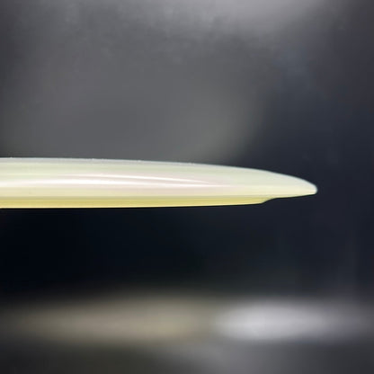 Champion Glow Tern