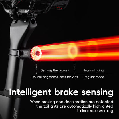 Q0 Tail Light Brake sensor USB-C
