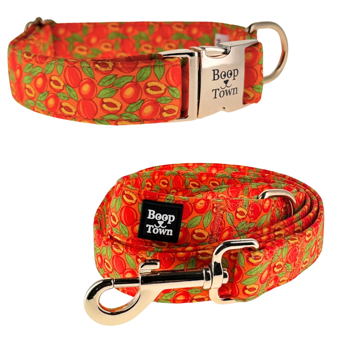 Dog Collar & Leash Sets - Triathlete Store
