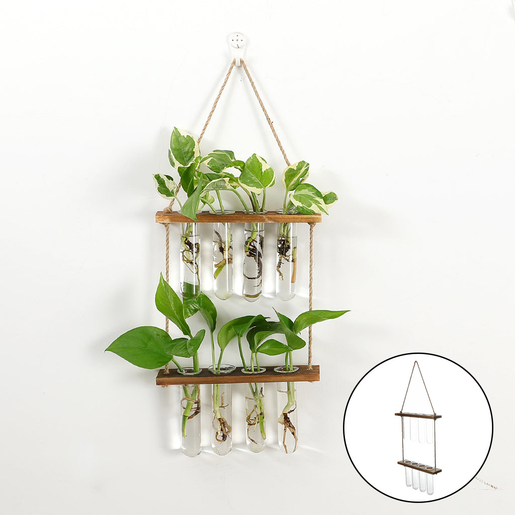 Wall-Hanging Test Tube Plant Propagation Station