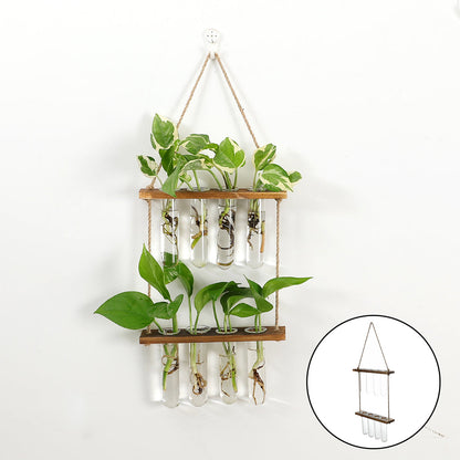 Wall-Hanging Test Tube Plant Propagation Station