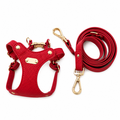 Boutique Leather Dog Harness & Leash Set – Brown/Green