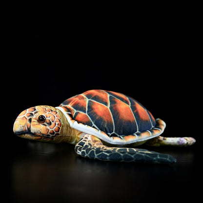 Sea Turtle Plush