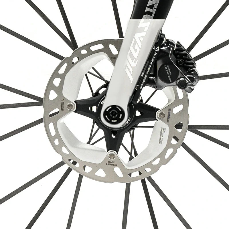 PGZ - Carbon Fiber Road Bike –  Black and White