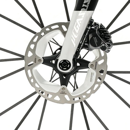 PGZ - Carbon Fiber Road Bike –  Black and White