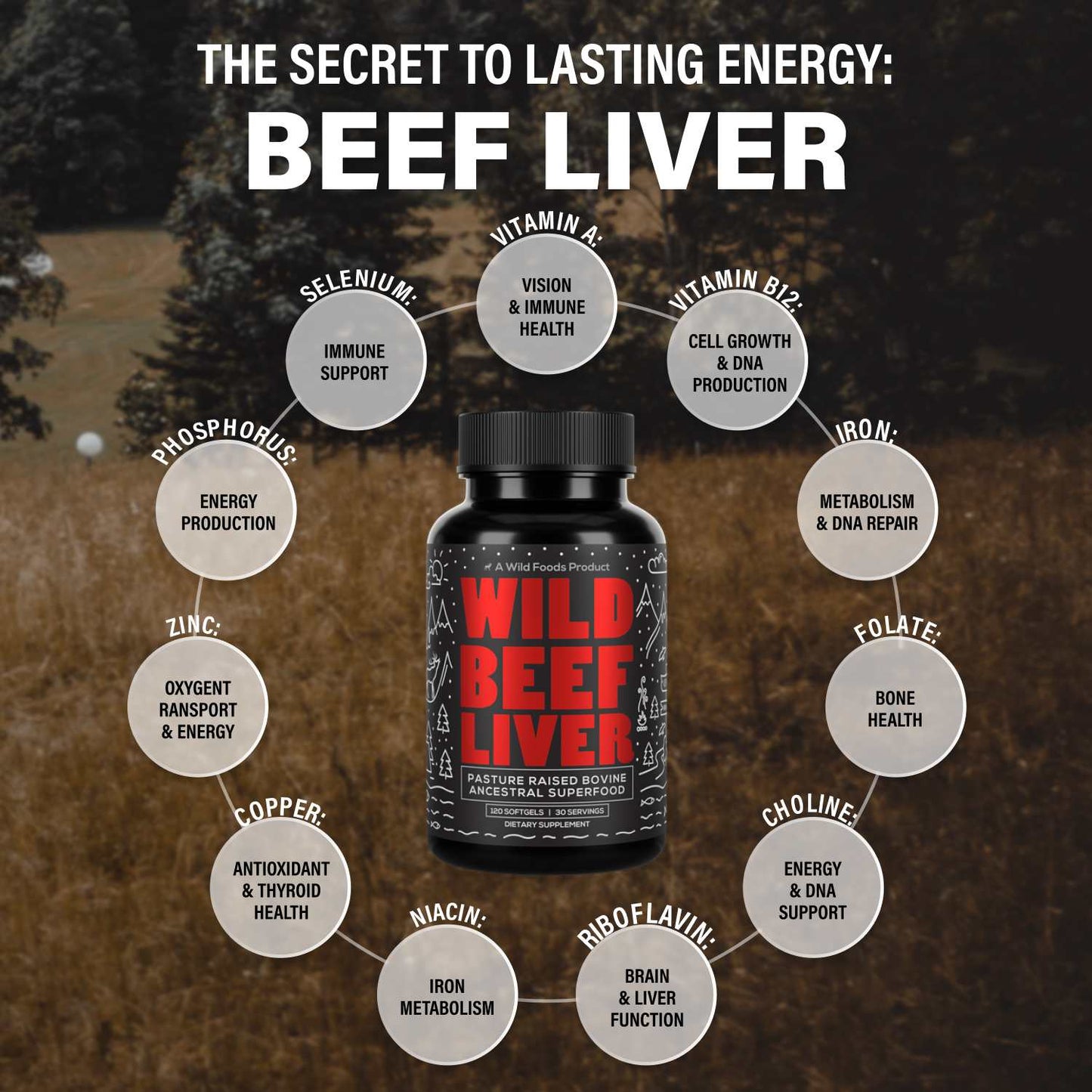 Wholesale case of 6 - NEW: Grass-Fed Beef Liver Capsules - 3000mg per serving