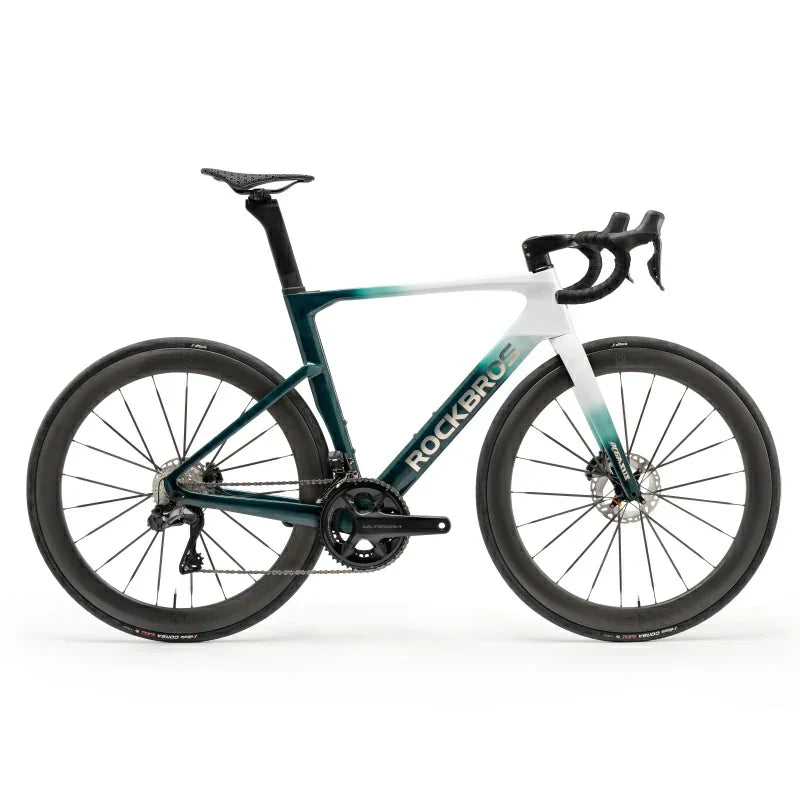 PGZ - Carbon Fiber Road Bike – Blue/Green