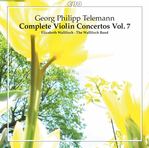 Telemann / Wallfisch Band - Complete Violin Concertos 7 - Music CD