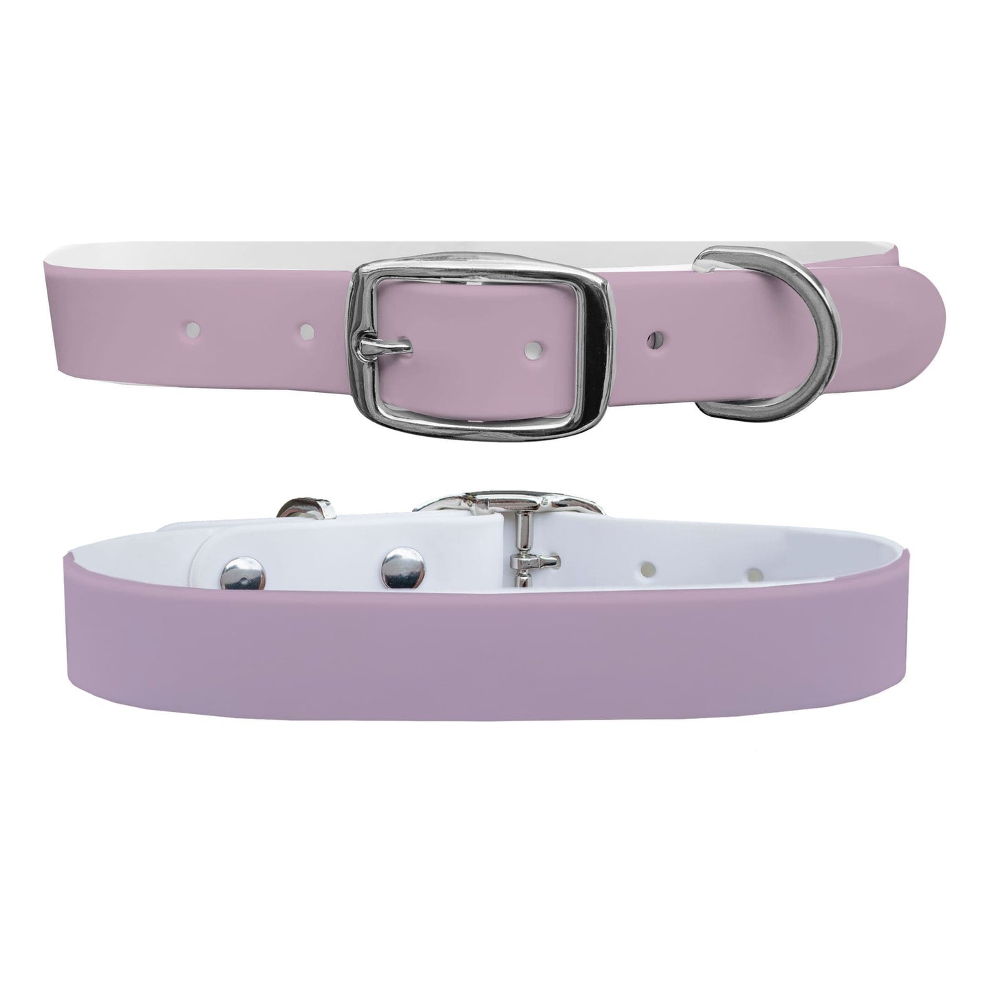 Lavender Dog Collar