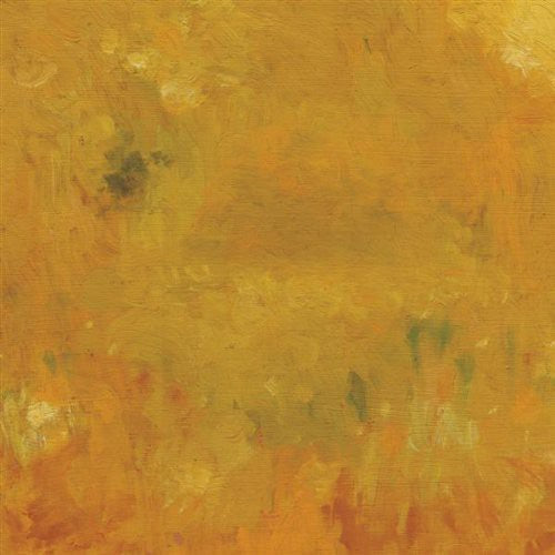 Bevel - Where Leaves Block the Sun Music CD