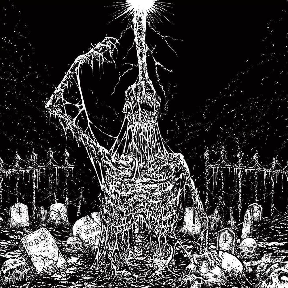 Infesticide / In Obscurity Revealed - Split (Uk) [CD]