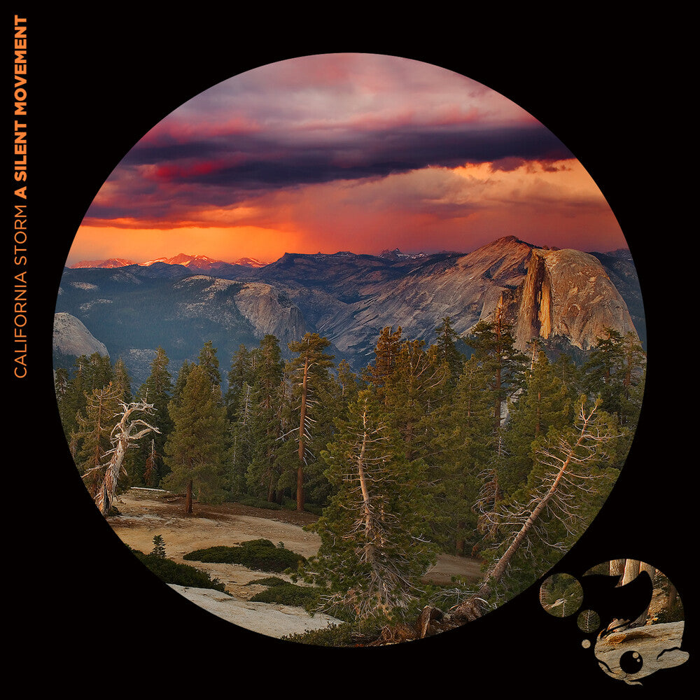 California Storm - Silent Movement Music CD