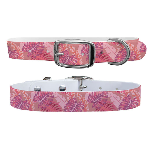 Cali Vibes Dog Collar