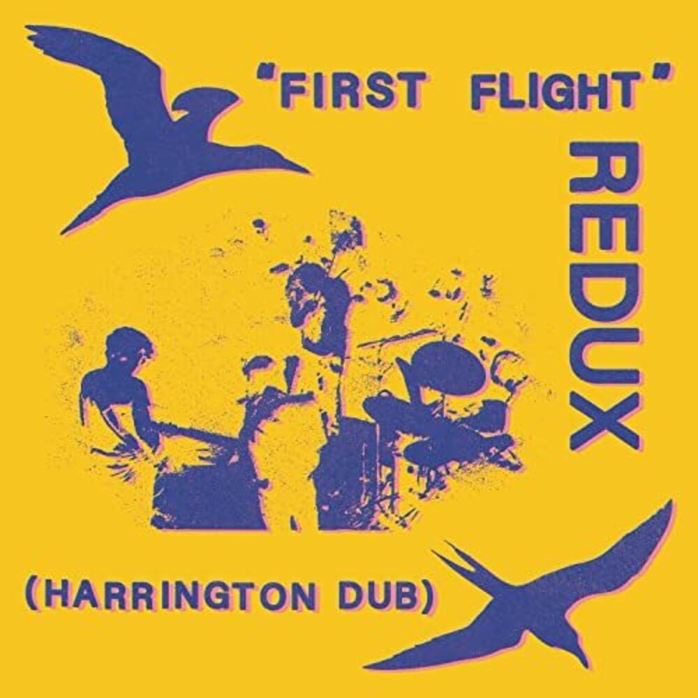 Chris Forsyth - First Flight Redux (Harrington Dub) [LP] Vinyl Record