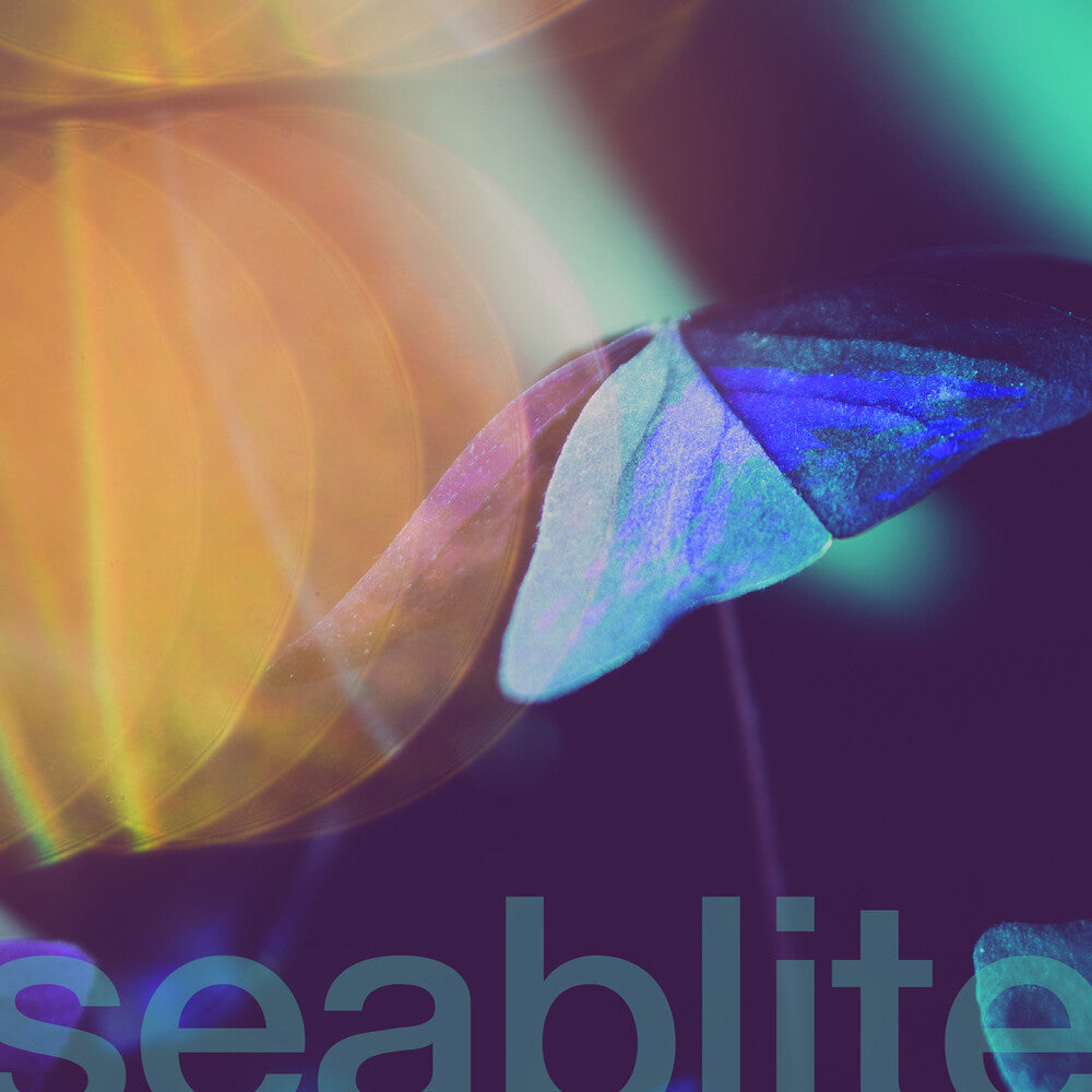 Seablite - Breadcrumbs [7" Vinyl]