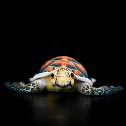 Sea Turtle Plush