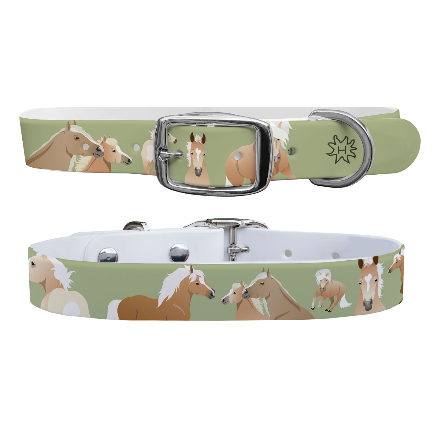 Haflinger Dog Collar