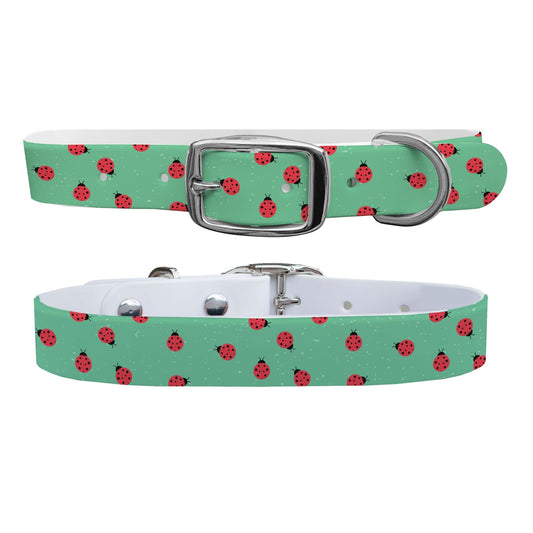 Ladybugs Dog Collar