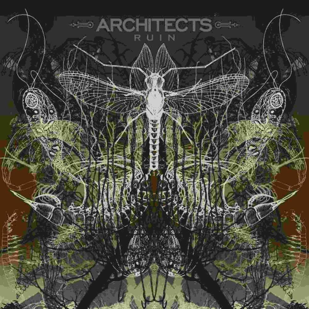 Architects - Ruin (Can) [LP] Vinyl Record
