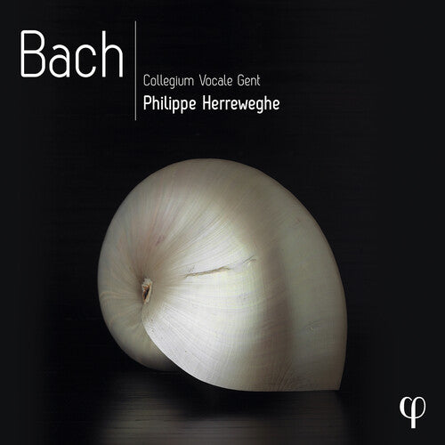 Bach,j.s. / Herreweghe / Collegium Vocale Gent - Bach - Music CD