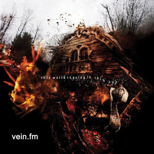Vein.fm - This World Is Going To Ruin You - Music CD
