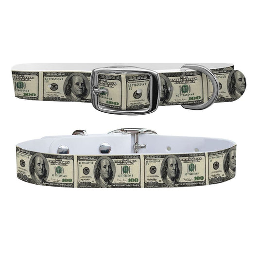 100 Dollar Bill Dog Collar