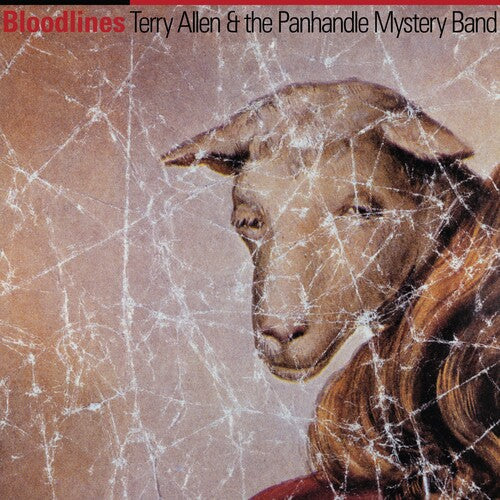 Allen,terry / Panhandle Mystery Band - Bloodlines - Music CD