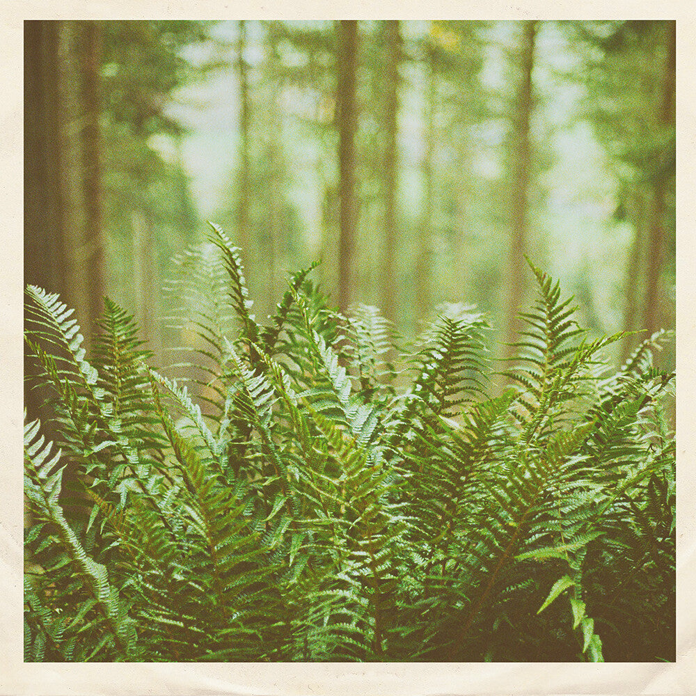 Mtbrd - Just Visiting [7" Vinyl]