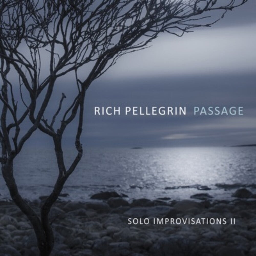 Rich Pellegrin - Passage: Solo Improvisations Ii Music CD