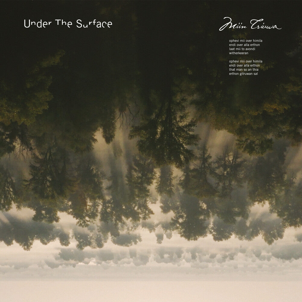 Stadhouders / Under The Surface - Miin Triuwa [CD]